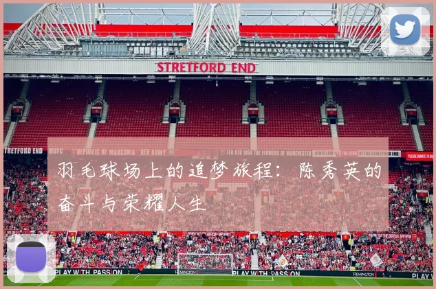羽毛球场上的追梦旅程：陈秀英的奋斗与荣耀人生