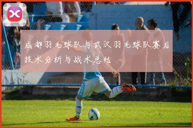 成都羽毛球队与武汉羽毛球队赛后技术分析与战术总结