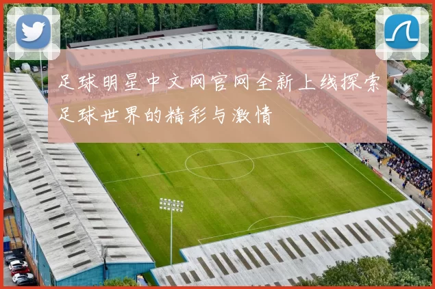 足球明星中文网官网全新上线探索足球世界的精彩与激情