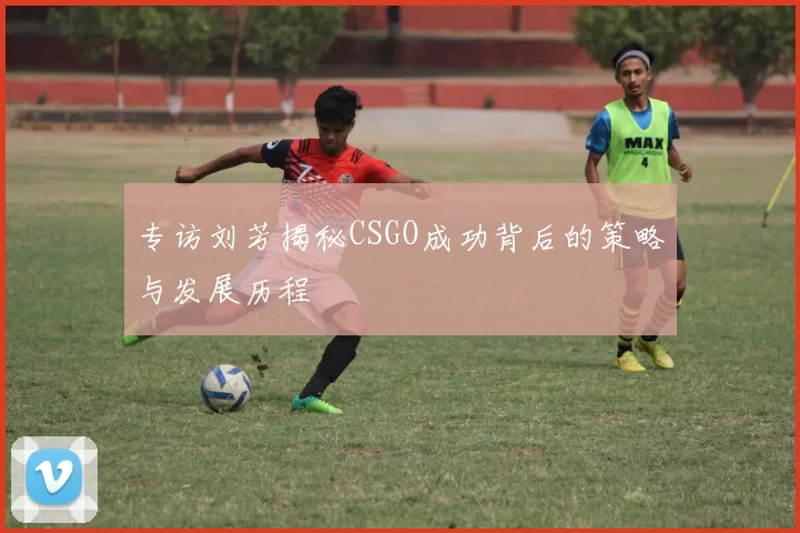 专访刘芳揭秘CSGO成功背后的策略与发展历程