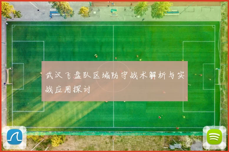 武汉飞盘队区域防守战术解析与实战应用探讨