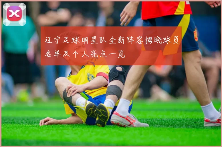 辽宁足球明星队全新阵容揭晓球员名单及个人亮点一览