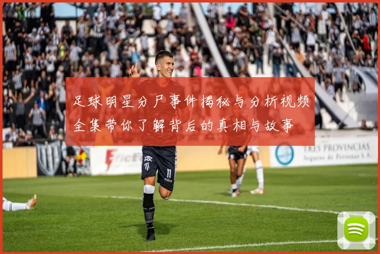 足球明星分尸事件揭秘与分析视频全集带你了解背后的真相与故事