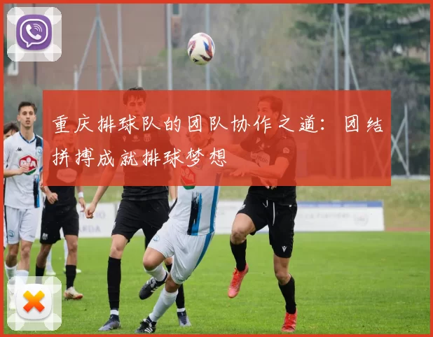 重庆排球队的团队协作之道：团结拼搏成就排球梦想