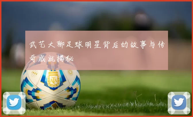 武艺大聊足球明星背后的故事与传奇成就揭秘