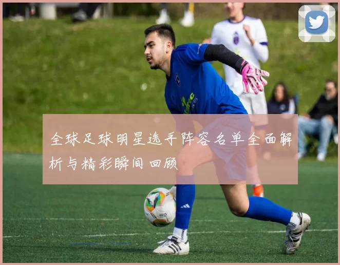 全球足球明星选手阵容名单全面解析与精彩瞬间回顾