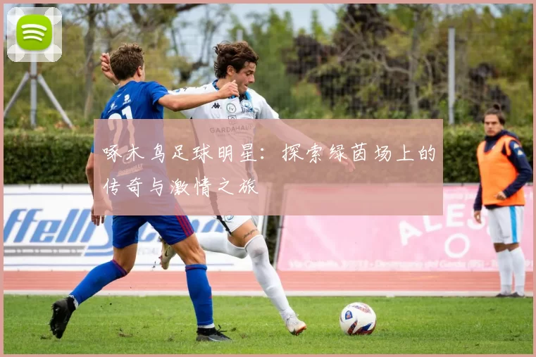 啄木鸟足球明星：探索绿茵场上的传奇与激情之旅