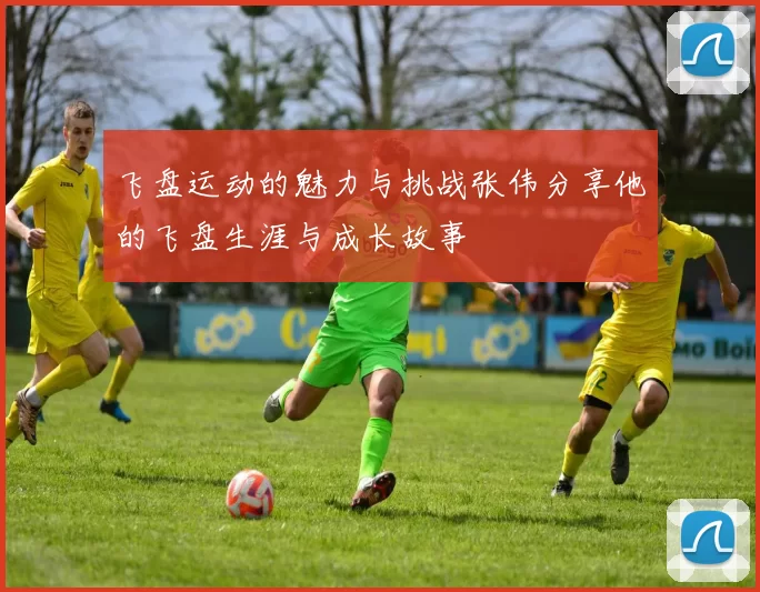 飞盘运动的魅力与挑战张伟分享他的飞盘生涯与成长故事