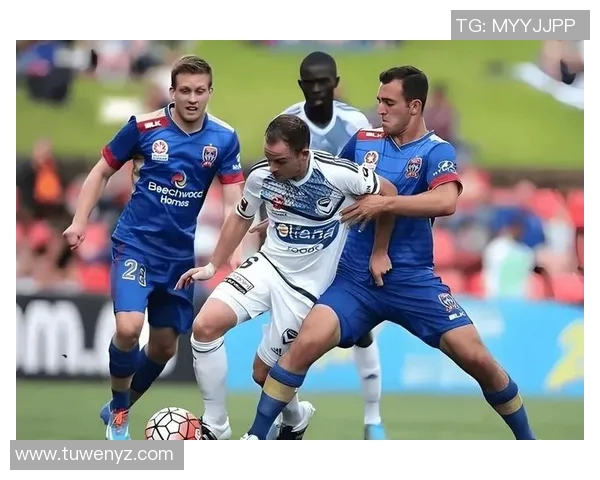 博塔弗戈与弗拉门戈比赛分析及比分预测展望