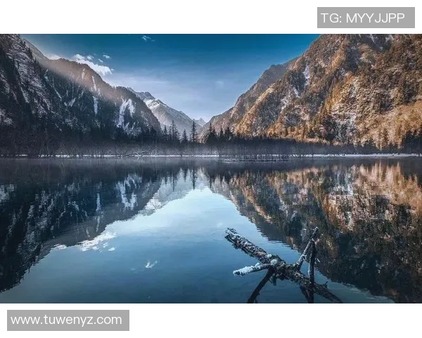 探索摄影艺术的魅力：从拍摄技巧到视觉表达的全面解析