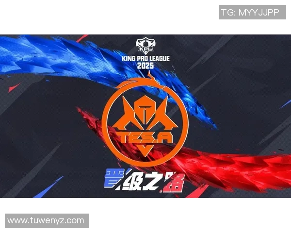 TES重塑自我之路：从挑战到辉煌的精英赛特别报道