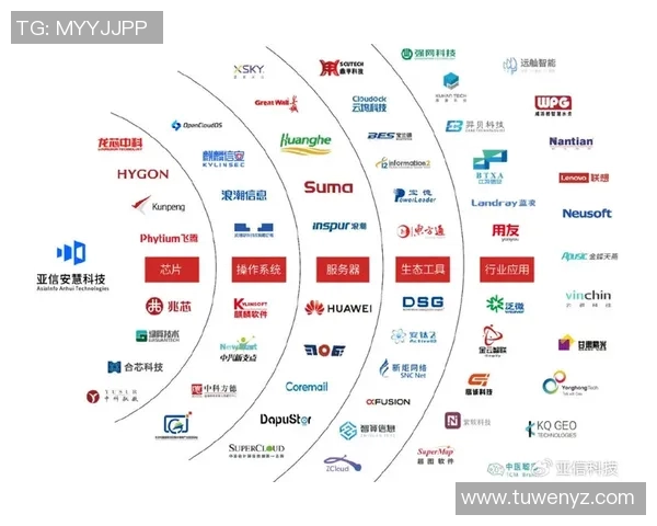 南京羽毛球队技术表现深度分析与数据解读探讨
