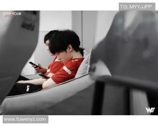 英雄联盟团队协作实力大比拼WE战队荣登第三名引发热议