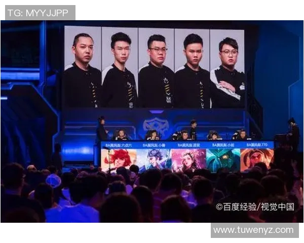 王者荣耀战术解析JDG战队灵活转换体系的深度剖析与应用